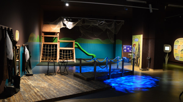 import_news_2893_3 import_news_2893_3