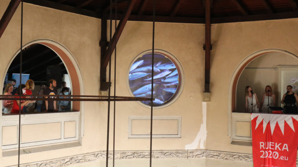 import_news_4546_8 import_news_4546_8