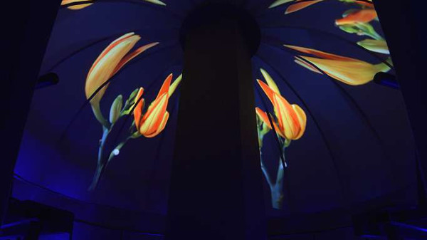 import_ref_1397_16 import_ref_1397_16