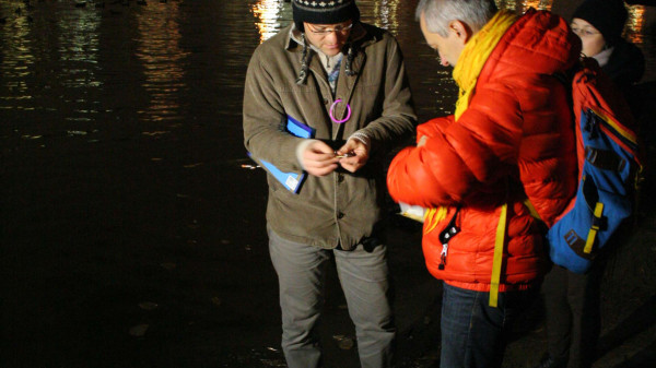 import_ref_2436_7 import_ref_2436_7