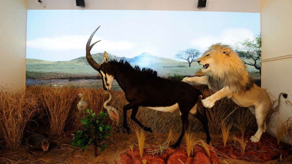 import_ref_2657_12 import_ref_2657_12