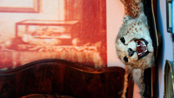 import_ref_2657_20 import_ref_2657_20