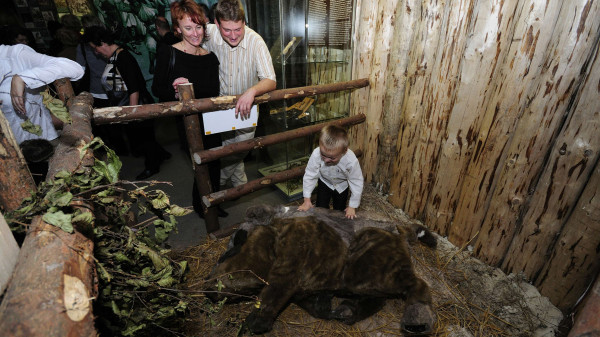 import_ref_2680_15 import_ref_2680_15