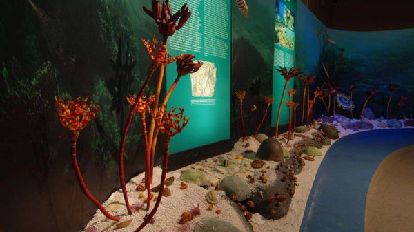 import_ref_2680_29 import_ref_2680_29