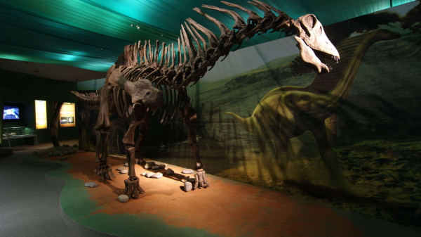 import_ref_2680_32 import_ref_2680_32