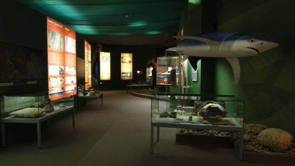 import_ref_2680_35 import_ref_2680_35