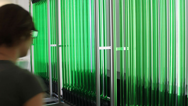 import_ref_2722_7 import_ref_2722_7