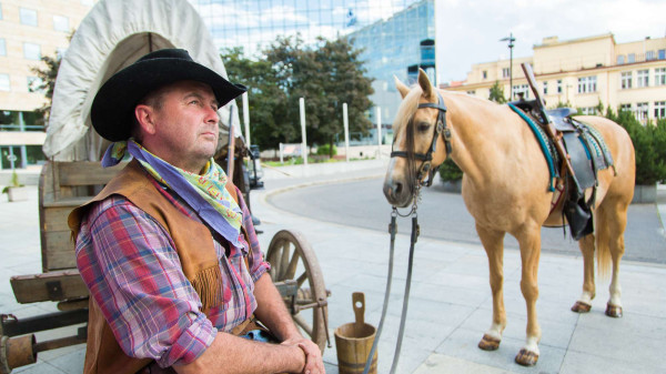 import_ref_2731_8 import_ref_2731_8