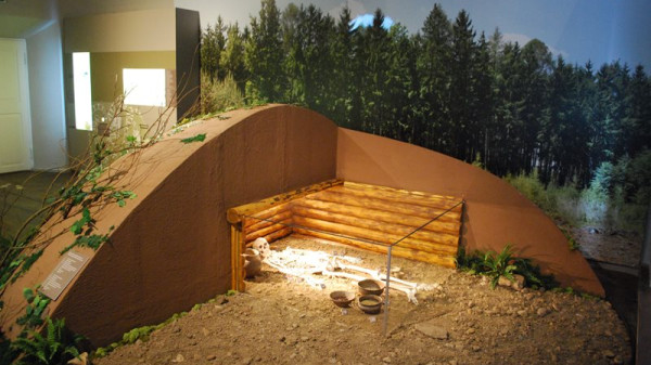 import_ref_2856_12 import_ref_2856_12
