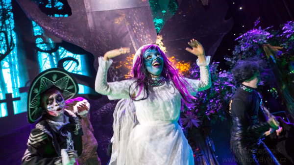 import_ref_2913_17 import_ref_2913_17