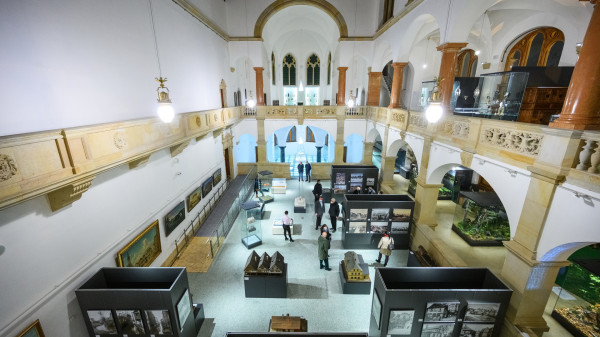 import_ref_4781_2 import_ref_4781_2