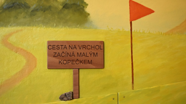 systems_aktuality_olivova-lecebna_3