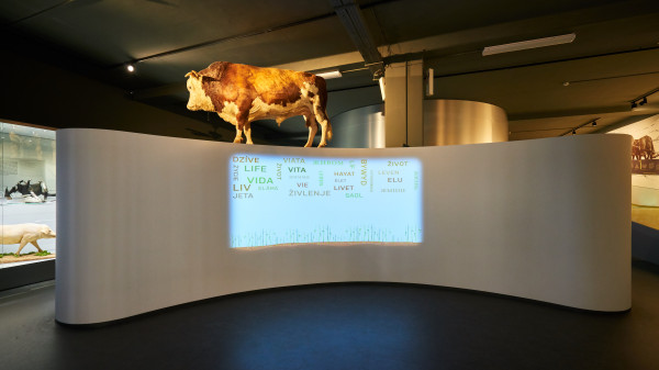 systems_reference_expozice_zemedelstvi_narodni_zemedelske_muzeum_11 systems_reference_expozice_zemedelstvi_narodni_zemedelske_muzeum_11