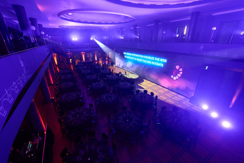 2024_04-bridge-to-enlightment 2024_04-bridge-to-enlightment